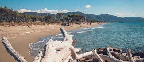 In Strandnähe, weißer Sandstrand, Rudern/Kanufahren, Angeln
