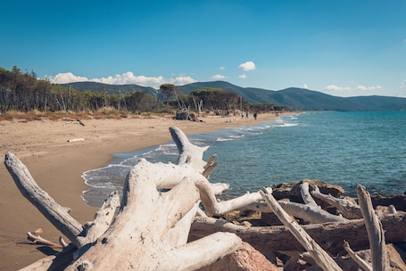 Beach nearby, white sand, rowing, fishing