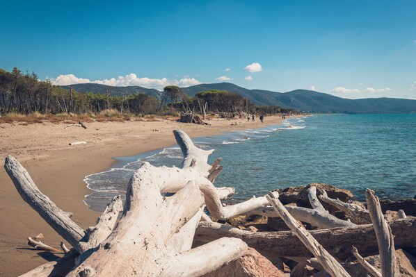 Vlak bij het strand, wit zand, roeien, vissen