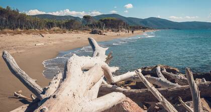 Poggiolivi Agriturismo Bio in Maremma