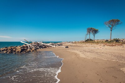 Poggiolivi Agriturismo Bio in Maremma