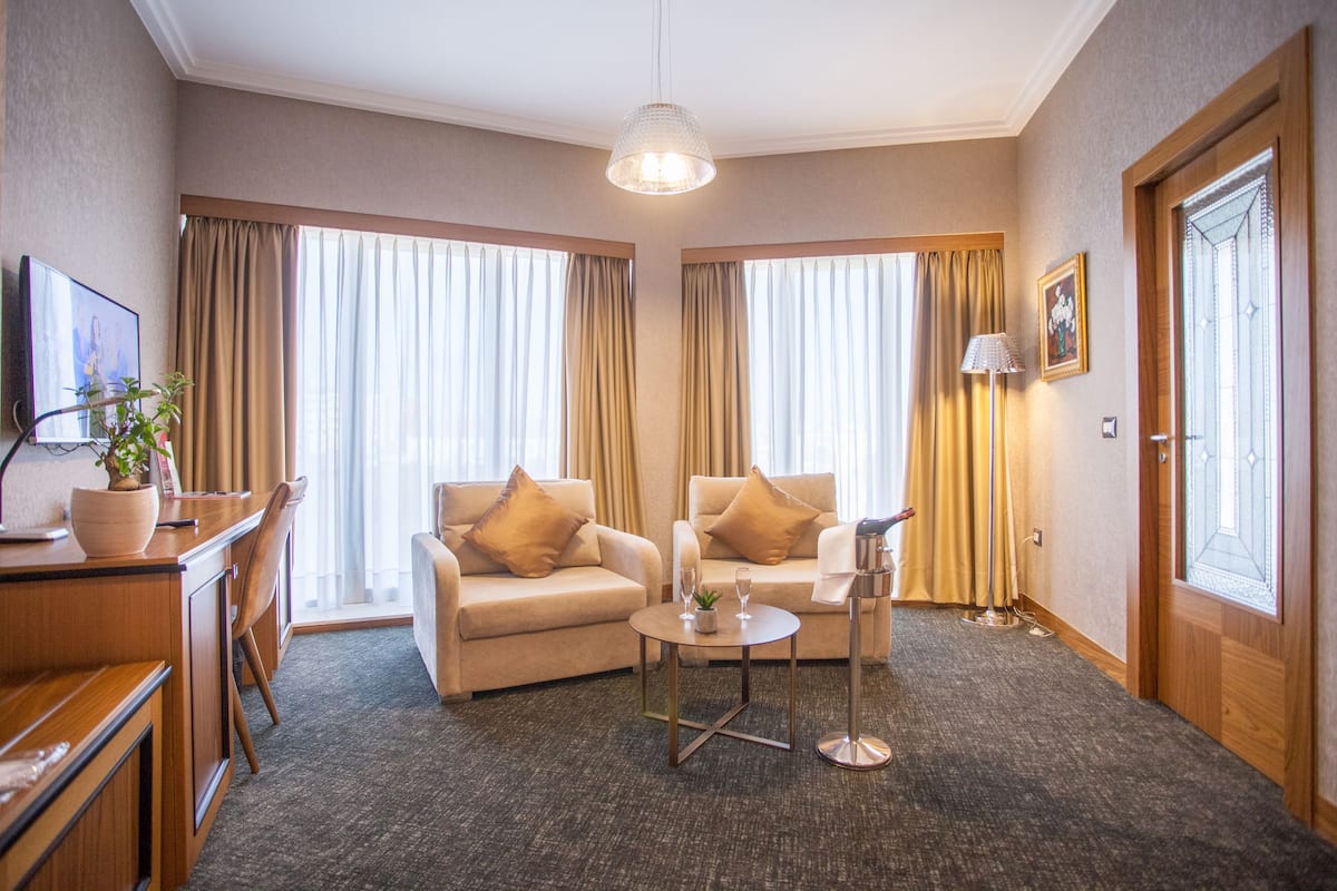 A hotel room with two sofas, a small table, a TV, a plant, and a door with a window.