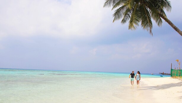 A beach with clear turquoise water and a palm tree.