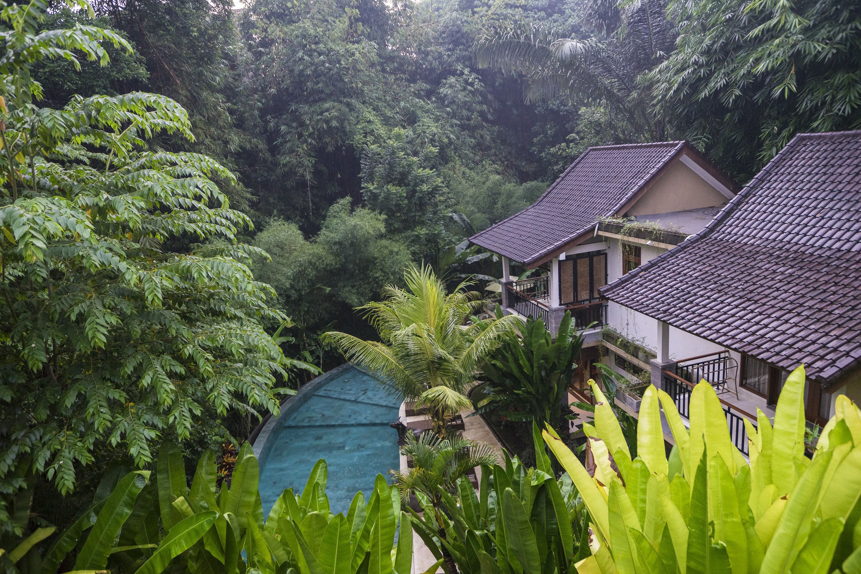 Foto - Jungle Haven Resort Central Ubud