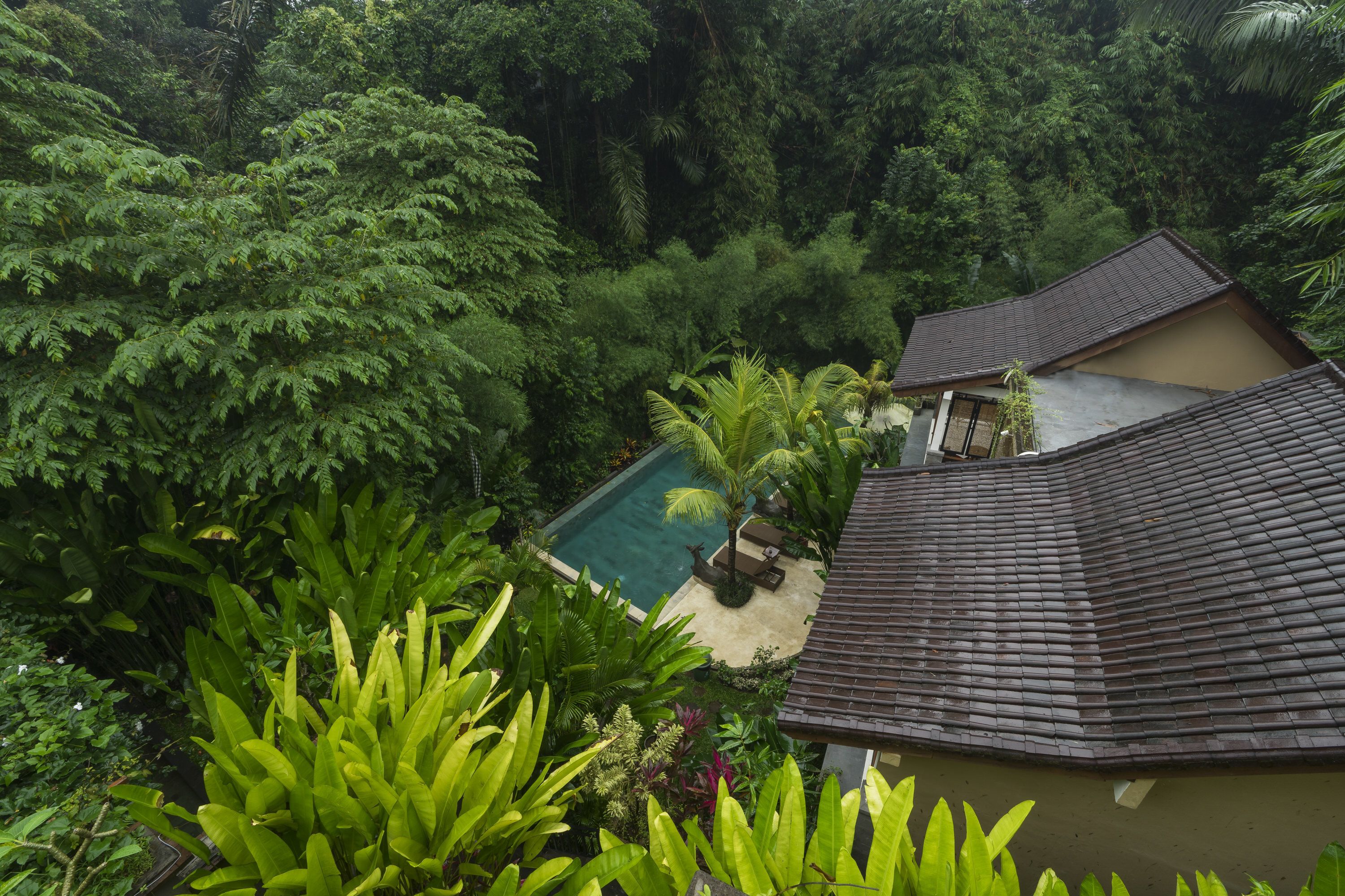 A lush garden with a swimming pool, surrounded by dense tropical foliage and a traditional tiled roof structure.