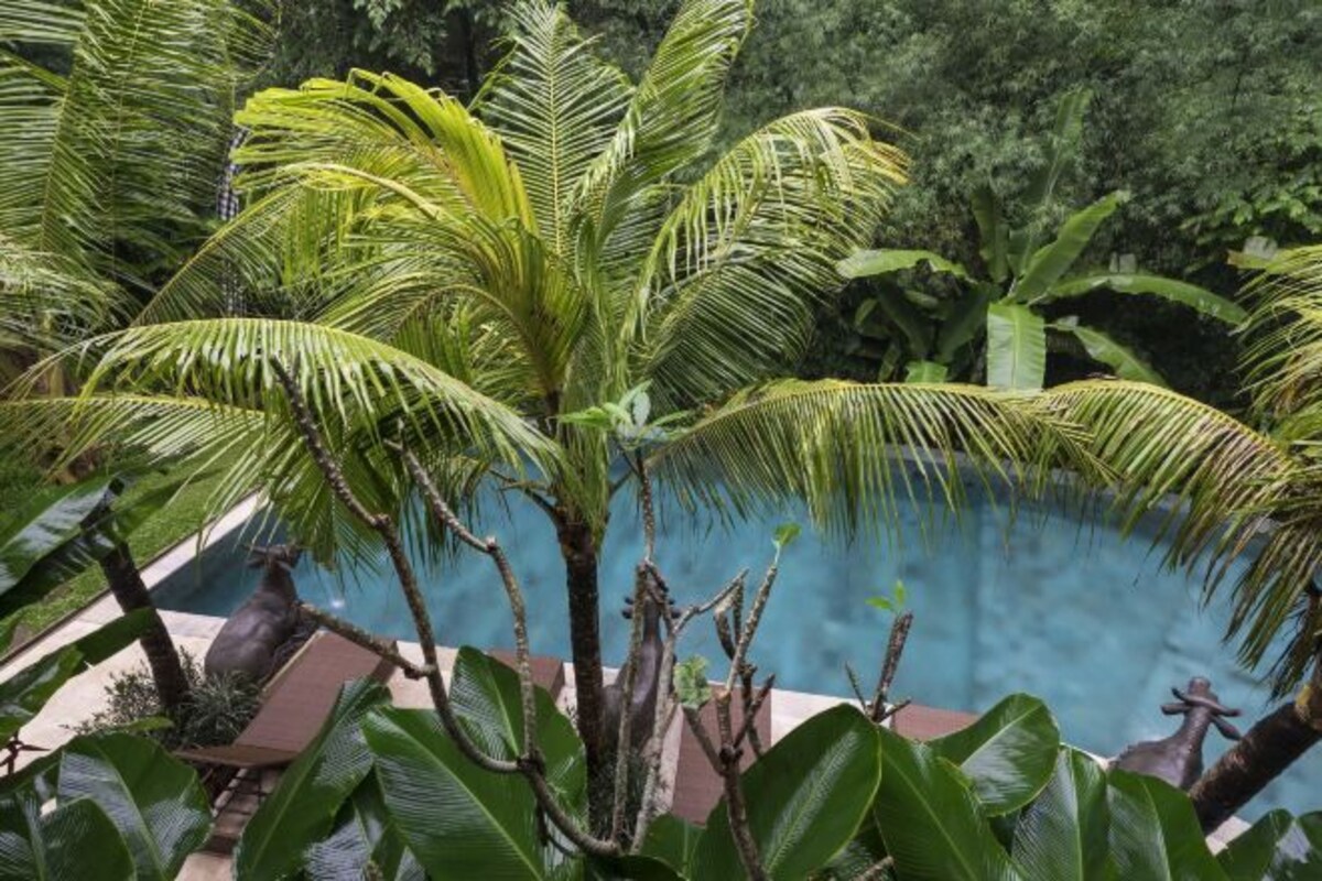Deluxe Room with Pool View