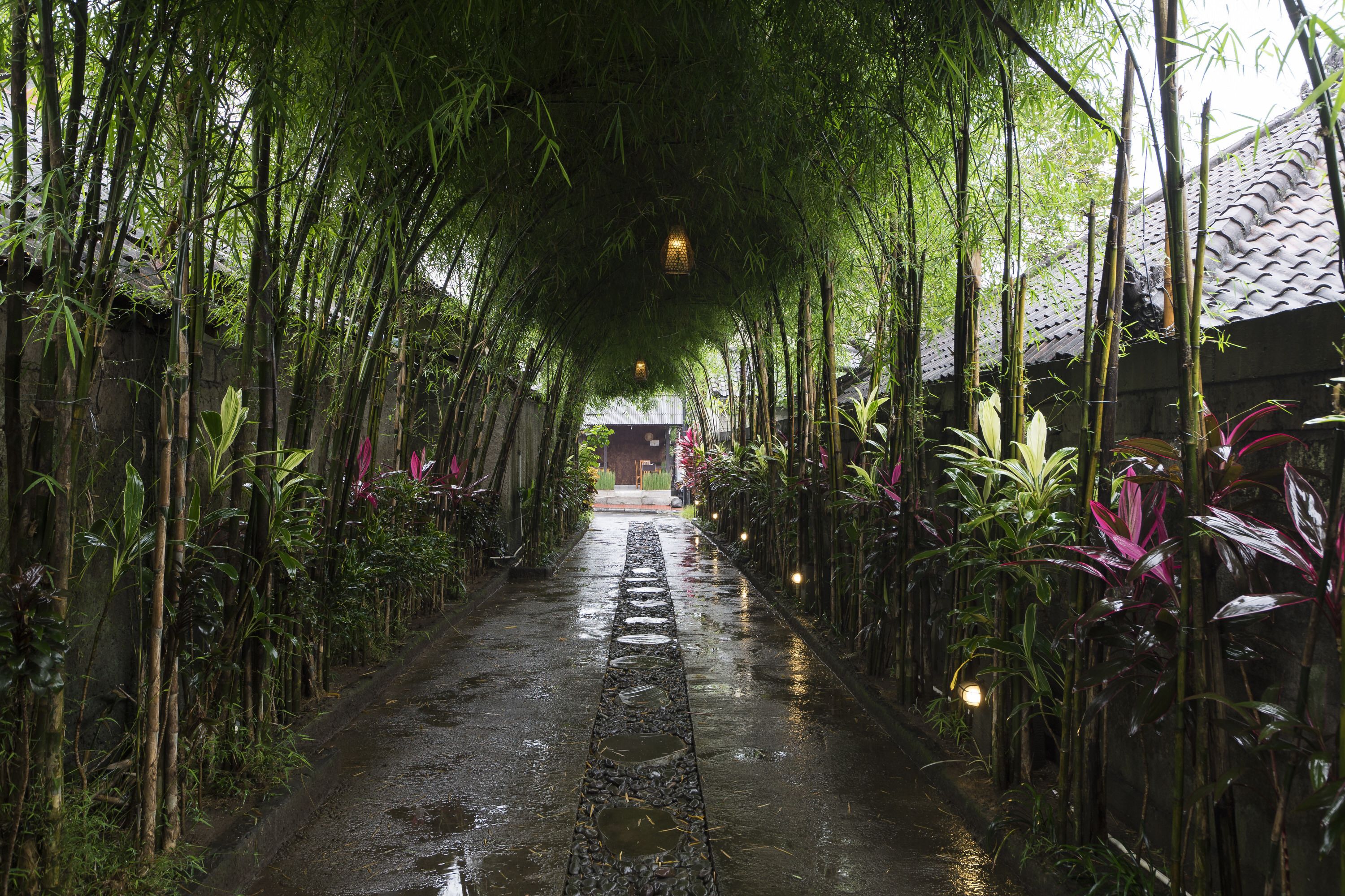 Photo - Jungle Haven Resort Central Ubud