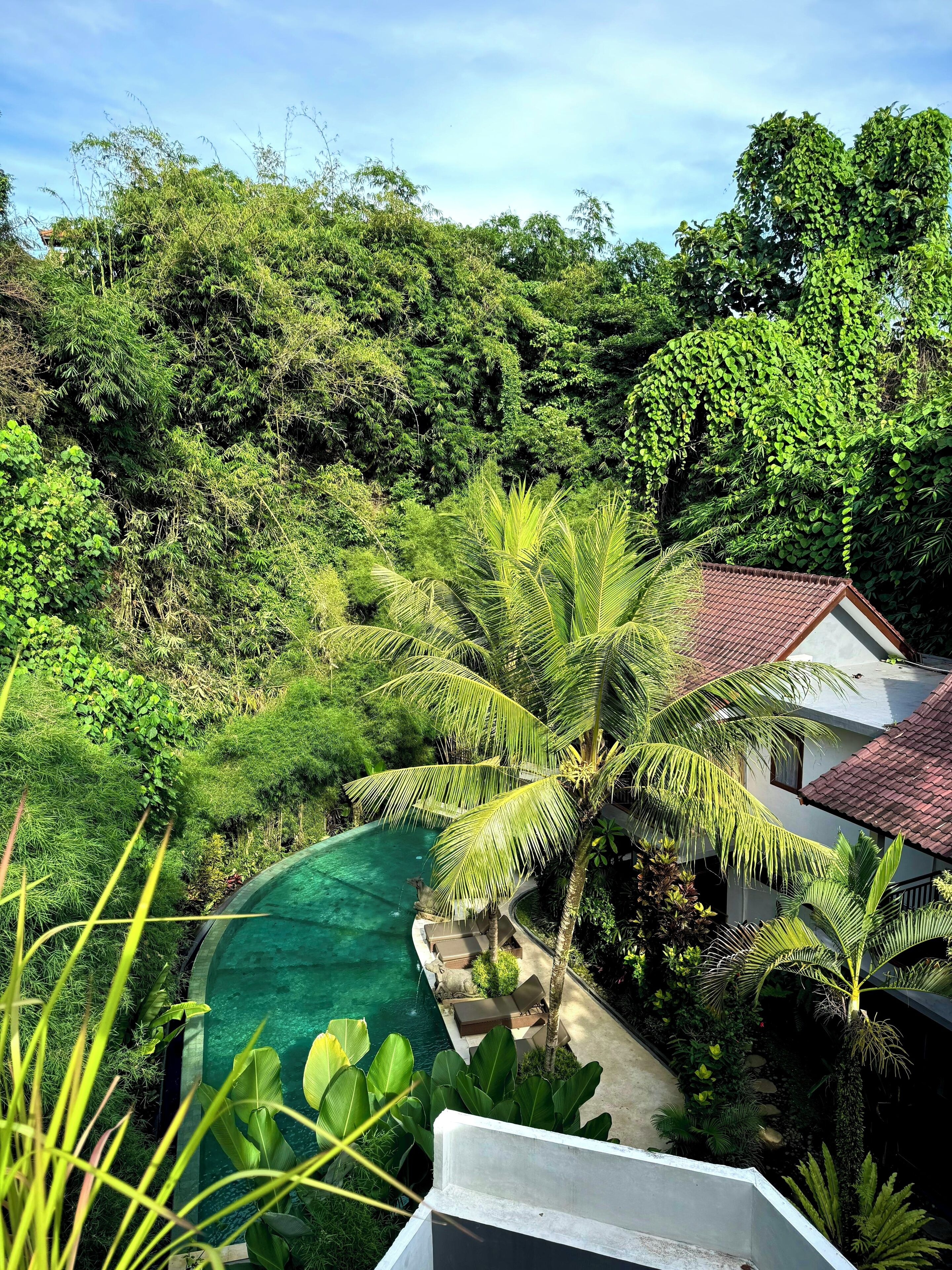 Foto - Jungle Haven Resort Central Ubud