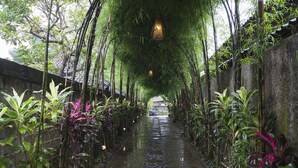Un estrecho sendero bordeado de plantas verdes exuberantes y bambú, que conduce a un edificio tradicional.