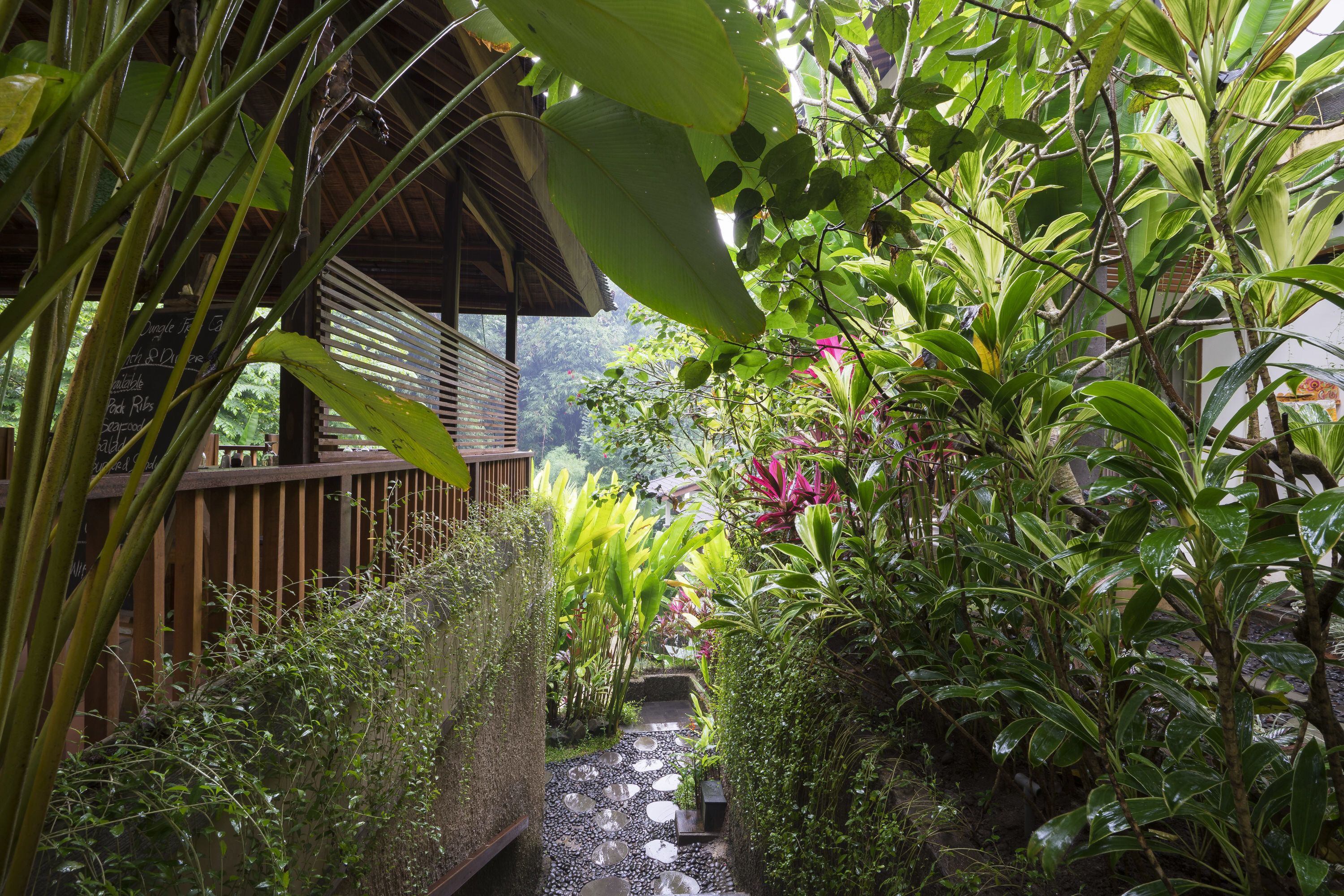 Foto - Jungle Haven Resort Central Ubud