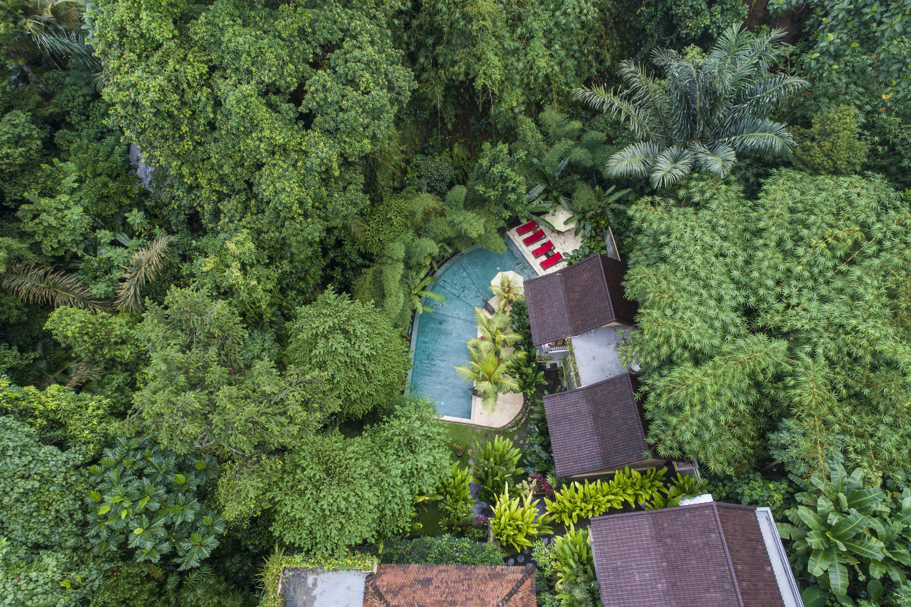 Foto - Jungle Haven Resort Central Ubud