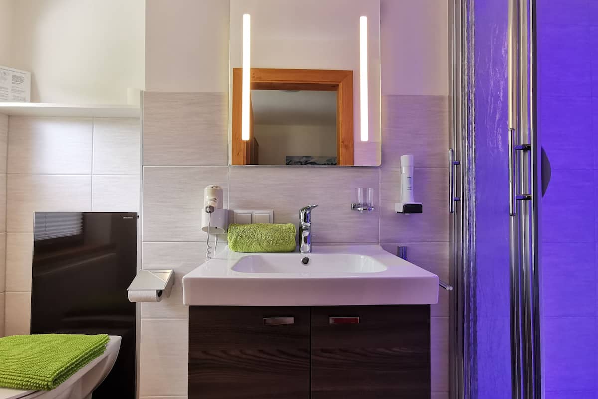 business single room, mountain view | bathroom | rainfall showerhead, hair dryer, towels