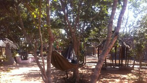 Una hamaca suspendida entre árboles en un espacio al aire libre sombreado, con construcciones rústicas al fondo.