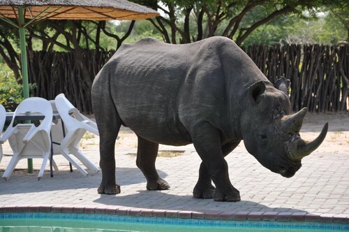 Khama Rhino Sanctuary
