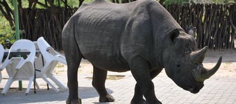 Khama Rhino Sanctuary