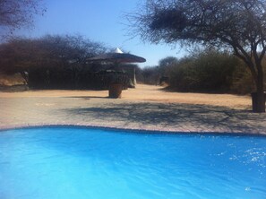 A swimming pool with a tiled edge, a thatched-roof structure, and sparse vegetation in the background.