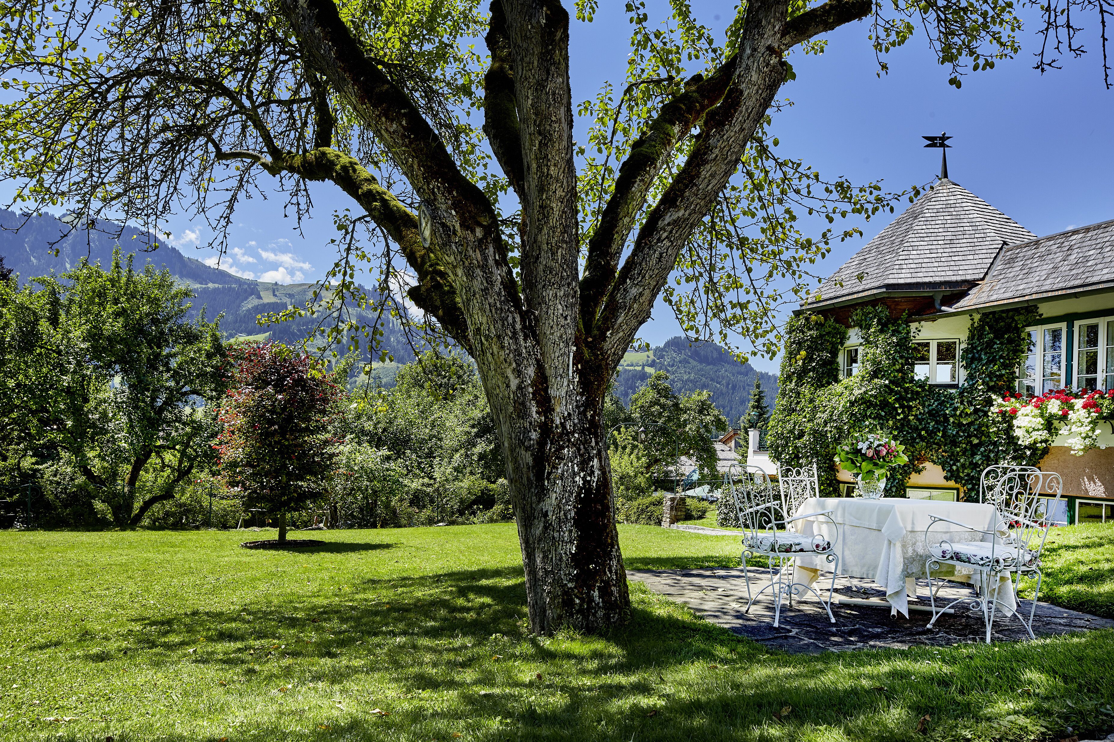 A large tree in a lush garden with a table and chairs set up for outdoor dining, overlooking a mountain range.