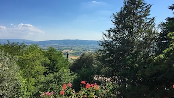 Vista desde la propiedad