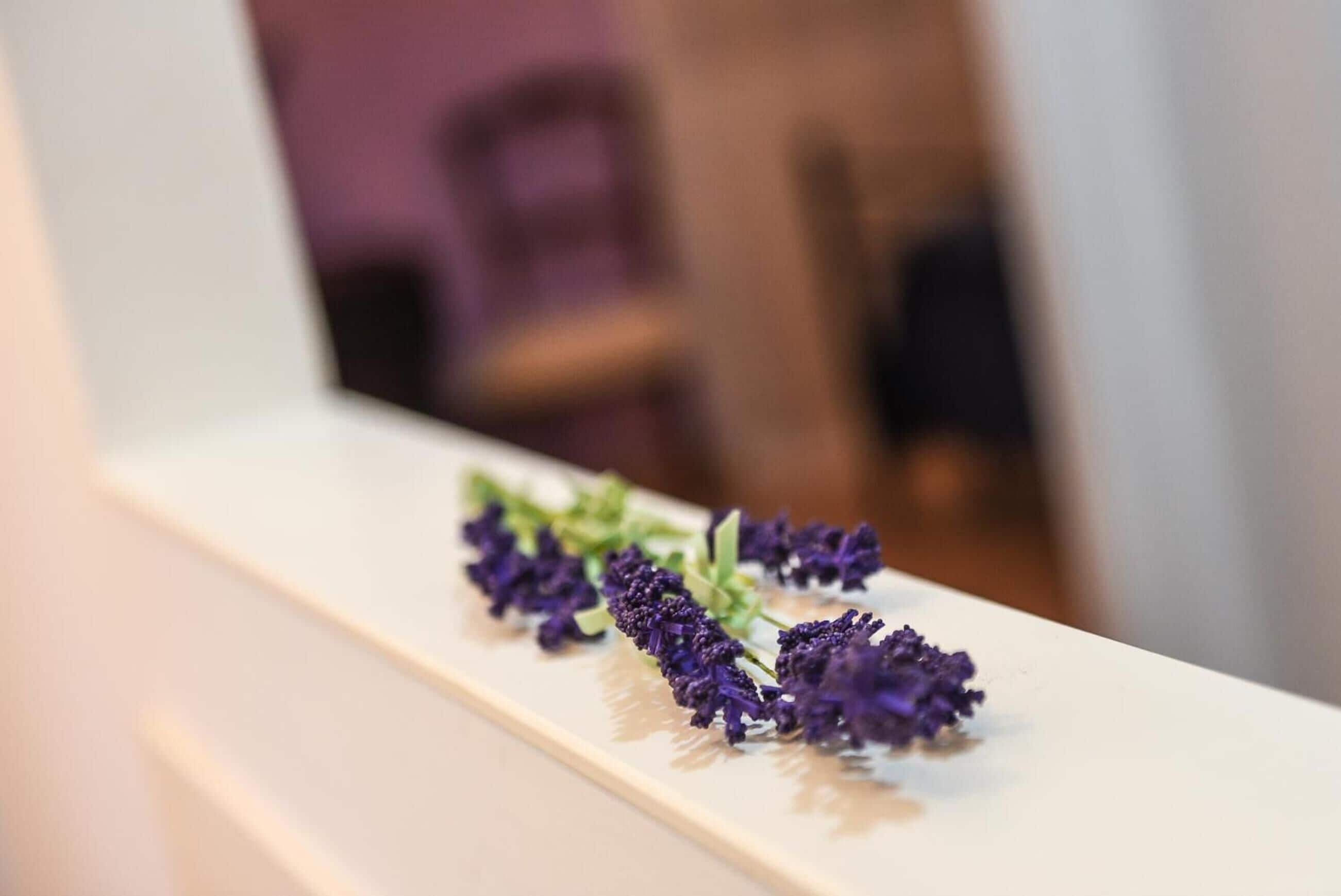 Photo - B&B Villa Sophie