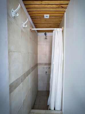 Shower, hair dryer, soap, toilet paper