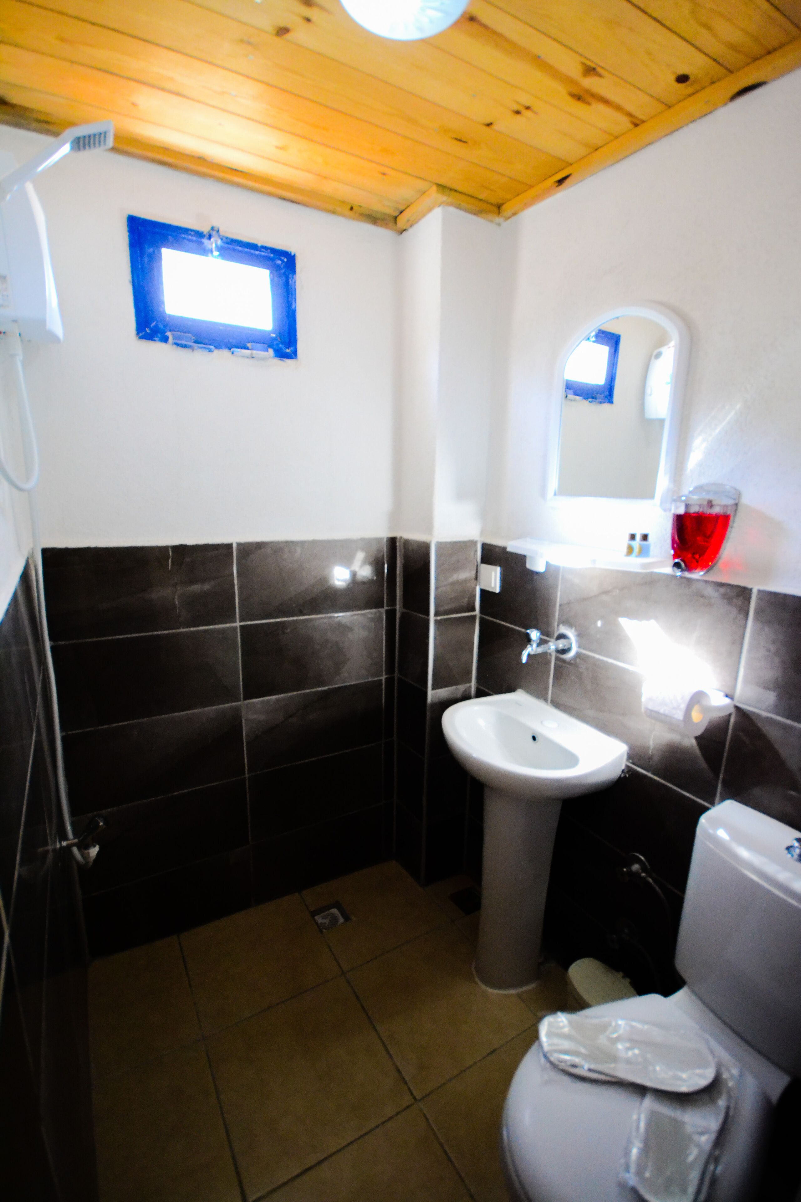 A bathroom with a white sink, a toilet, and a shower. There is a window with blue trim and a mirror above the sink.