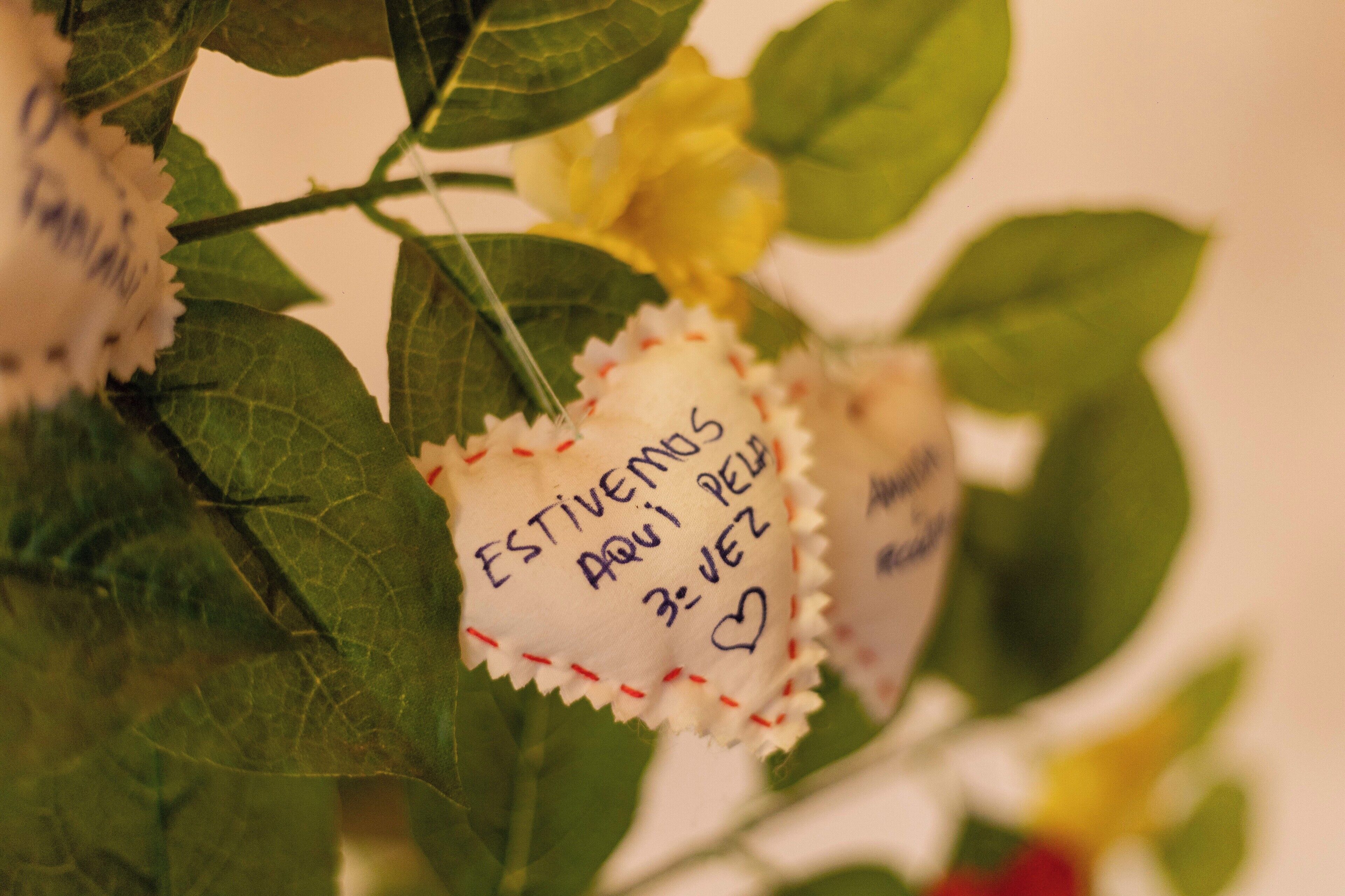 Photo - Pousada Apple House Campos do Jordao