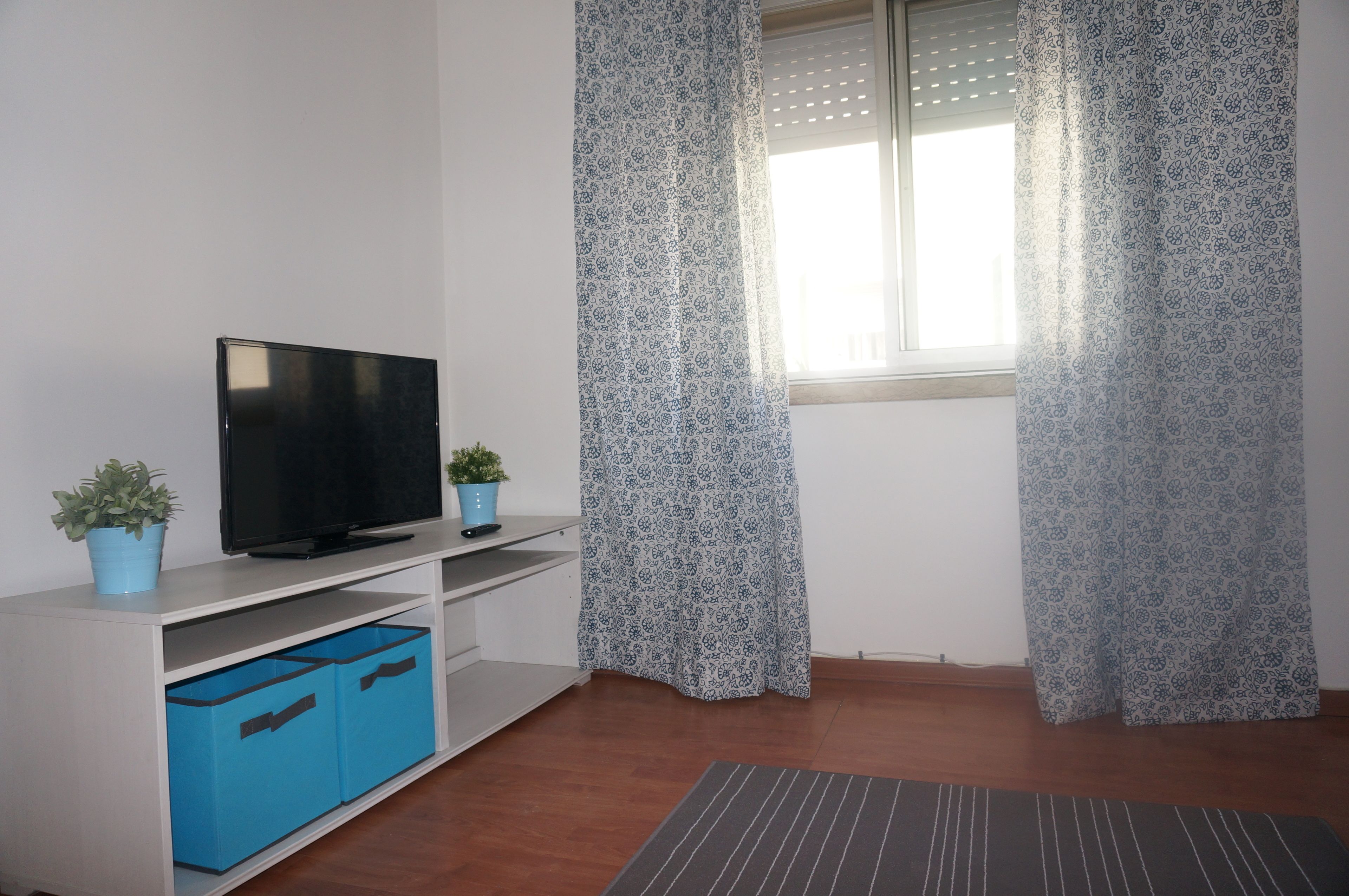 A room with a TV on a white stand, two potted plants, a window with patterned curtains, and a striped mat on the floor.