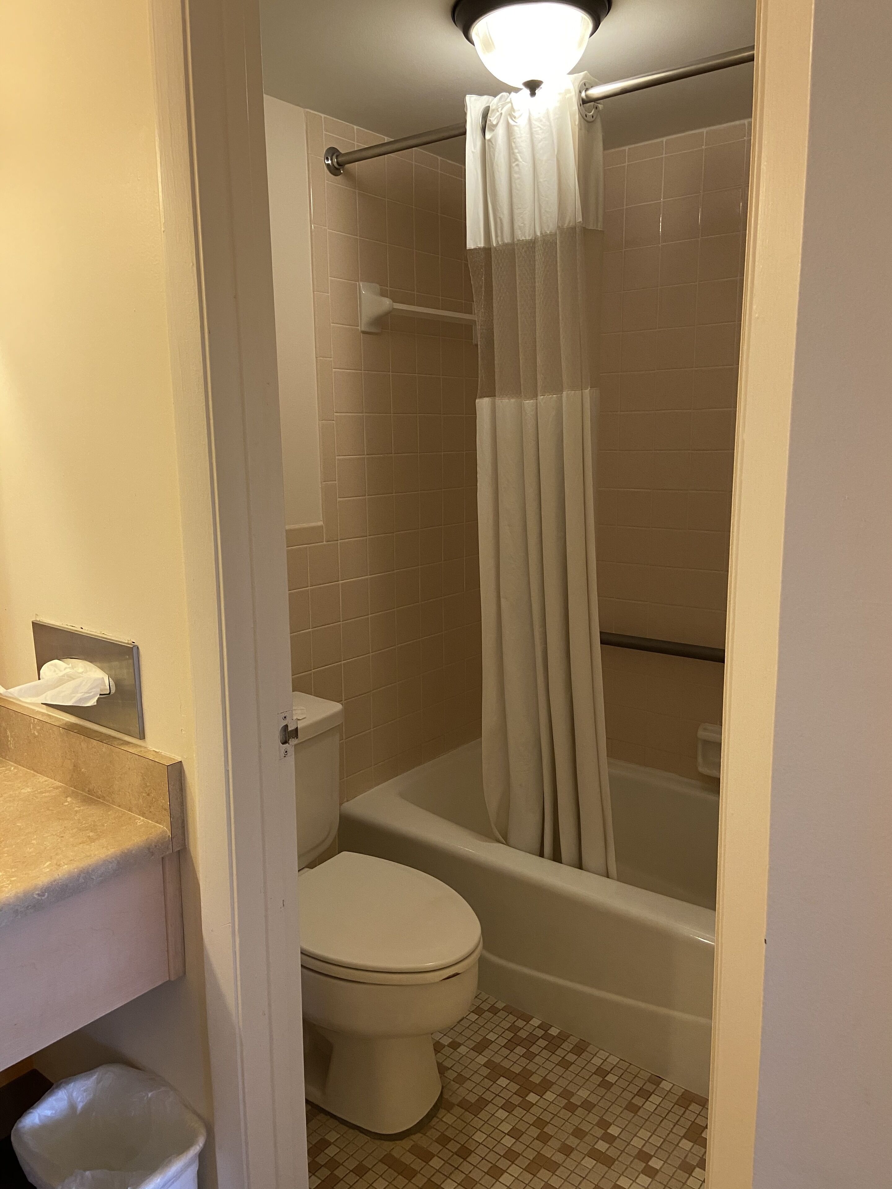 Een badkamer met toilet, bad en douchegordijn.