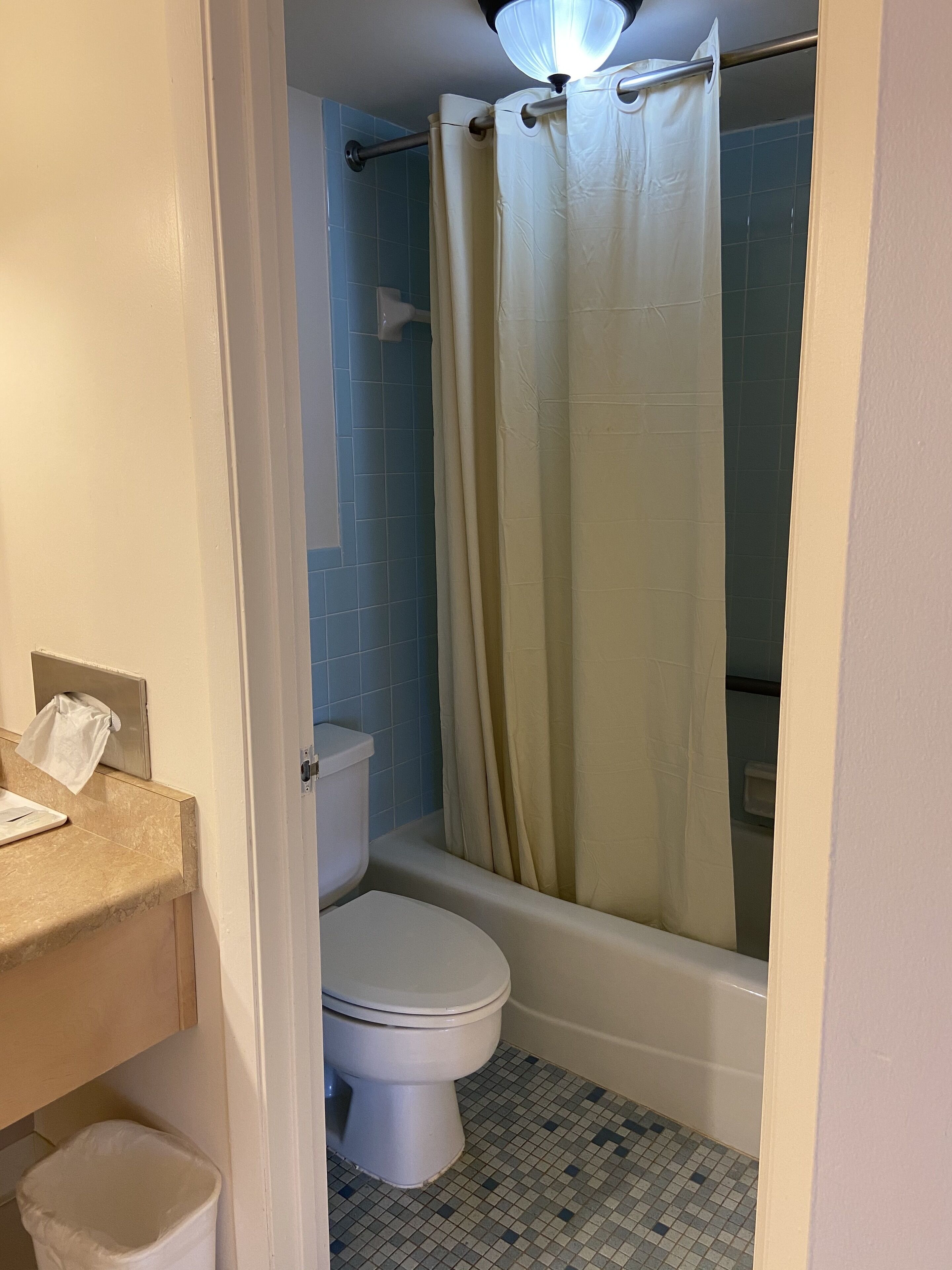 A bathroom with a toilet, a sink, and a shower area.