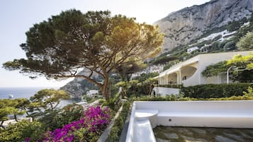 ๊ฐ์ค์์ ๋ณด์ด๋ ์ ๋ง