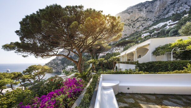 Un edificio costero de fachada blanca, rodeado de abundante vegetación y flores moradas.