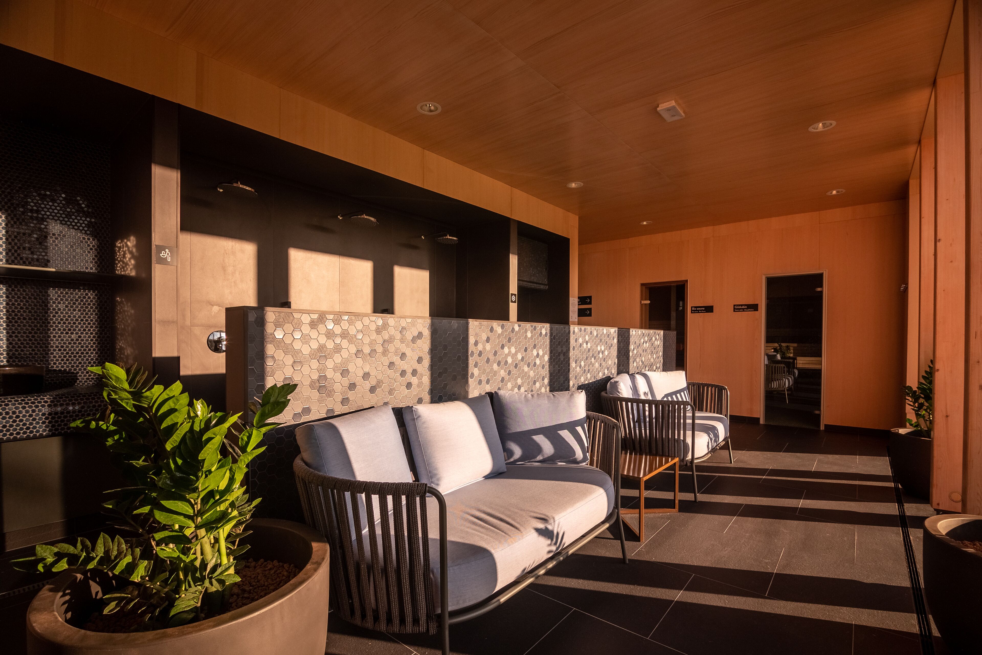 A modern indoor seating area with a sofa, chairs, and a potted plant.