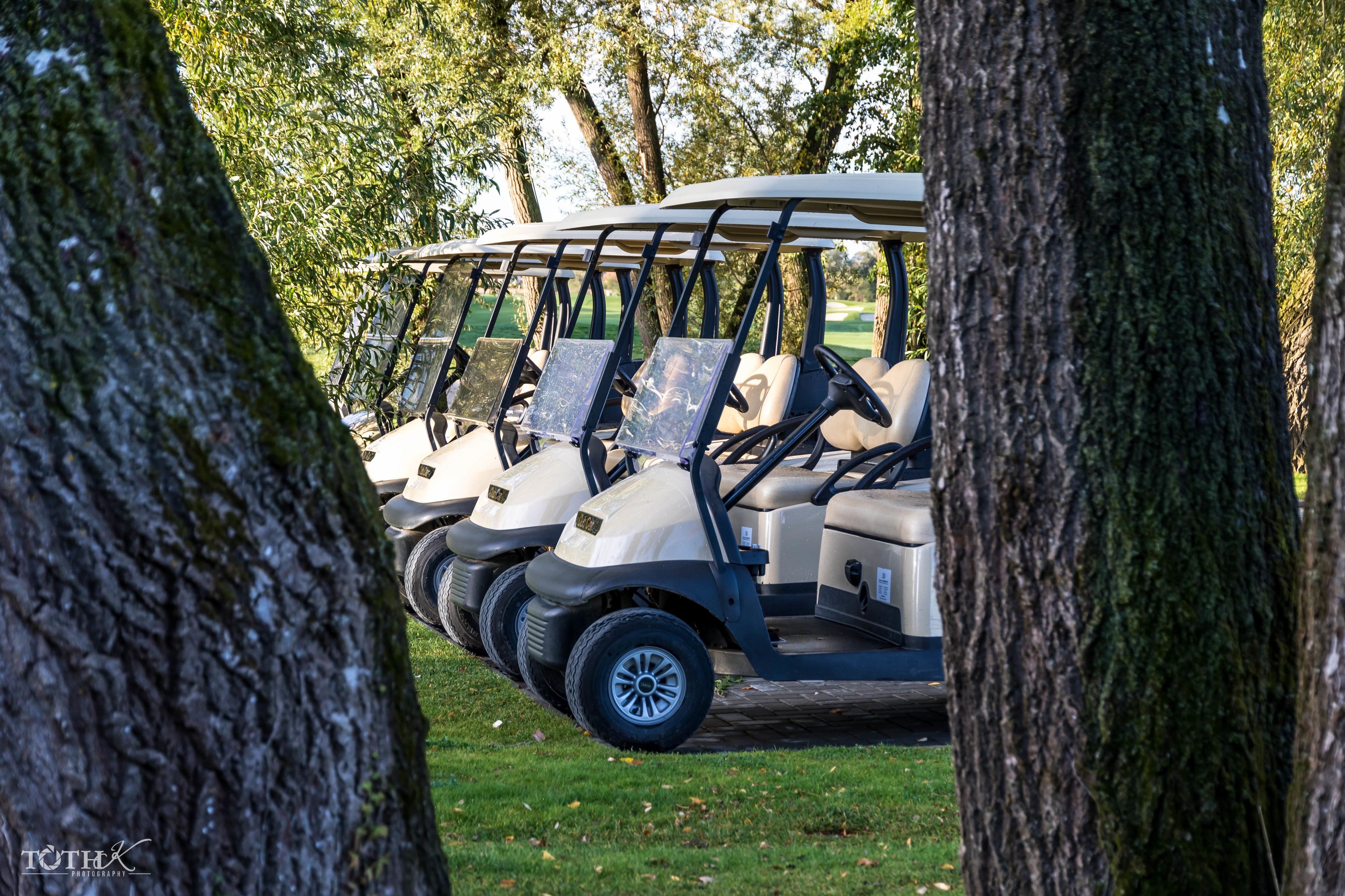 Una fila de carros de golf estacionados en un césped, con árboles al fondo.