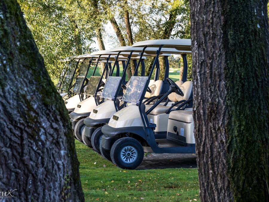 A row of golf carts parked in a grassy area with trees in the background.