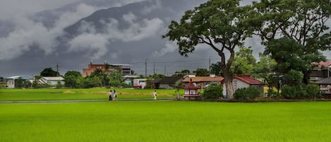 산 전망