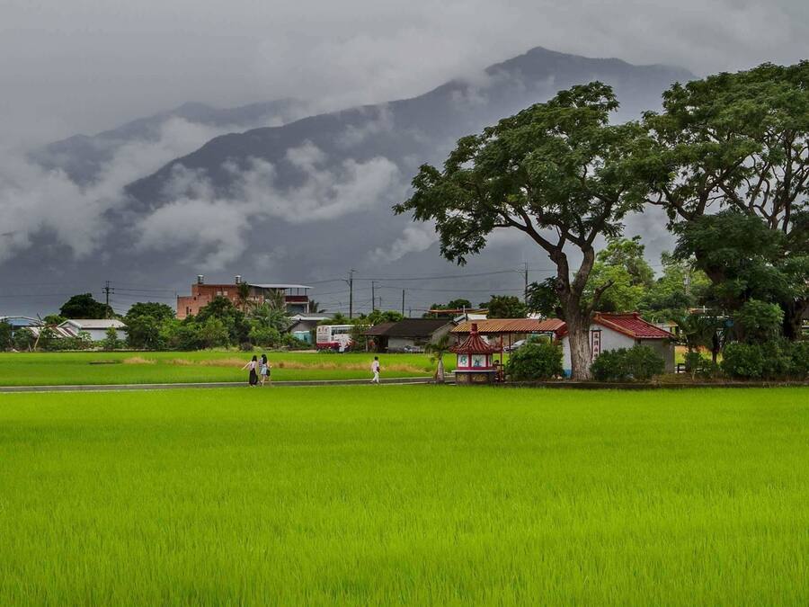 Vistas a la montaña