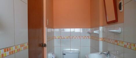 A bathroom with a toilet, sink, and a mirror on the wall.