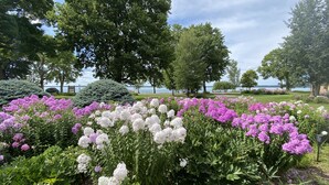 Um jardim com diversas plantas floridas e árvores, um caminho e vista para um corpo de água ao fundo.