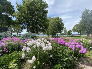 Garden - Peters Sunset Beach Resort (Glenwood)