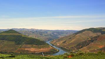 Paisaje de viñedo con campos en terrazas y un río.