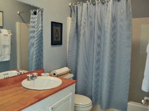 샤워기/욕조 결합, 헤어드라이어, 타월