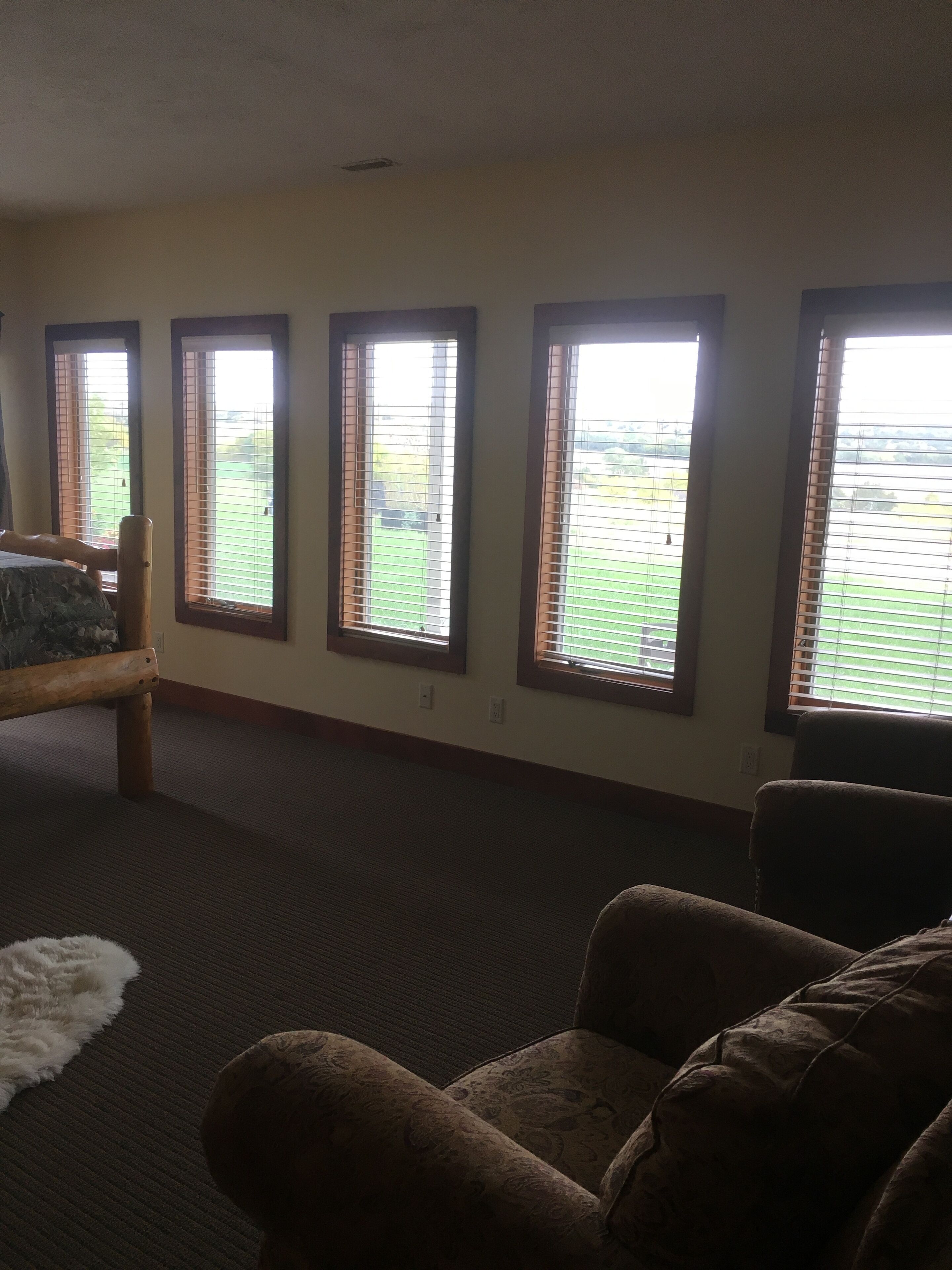 Standard Single Room, 1 King Bed