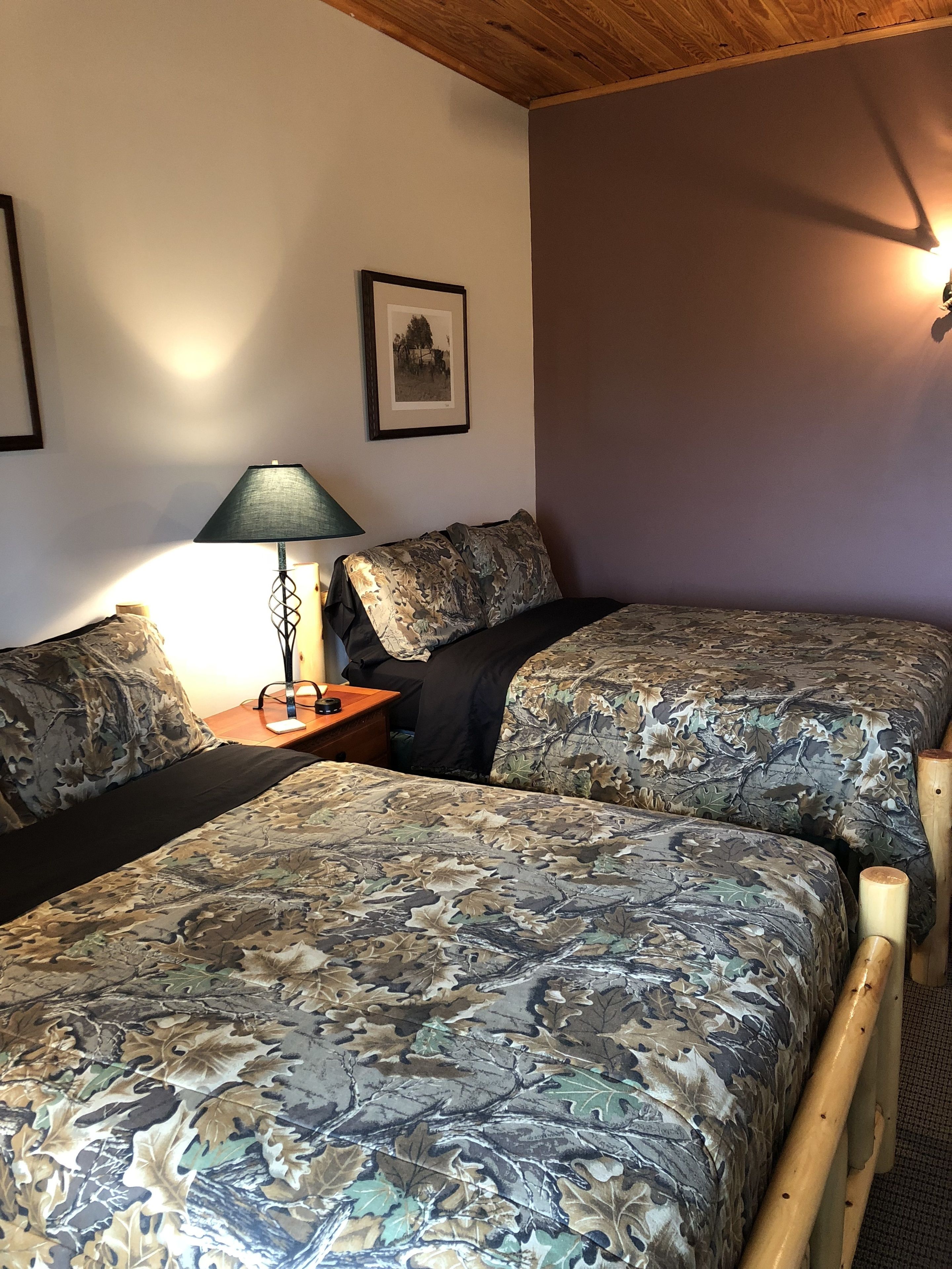 A room with two beds, a nightstand, a lamp, and a framed picture on the wall.