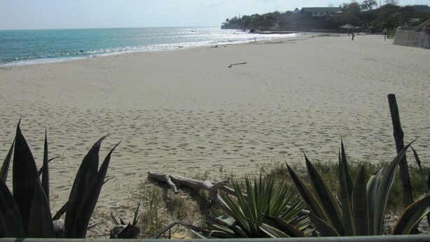 A beach with a clear view of the ocean and a distant shoreline with buildings. - Casa Playas 1 (Playas)