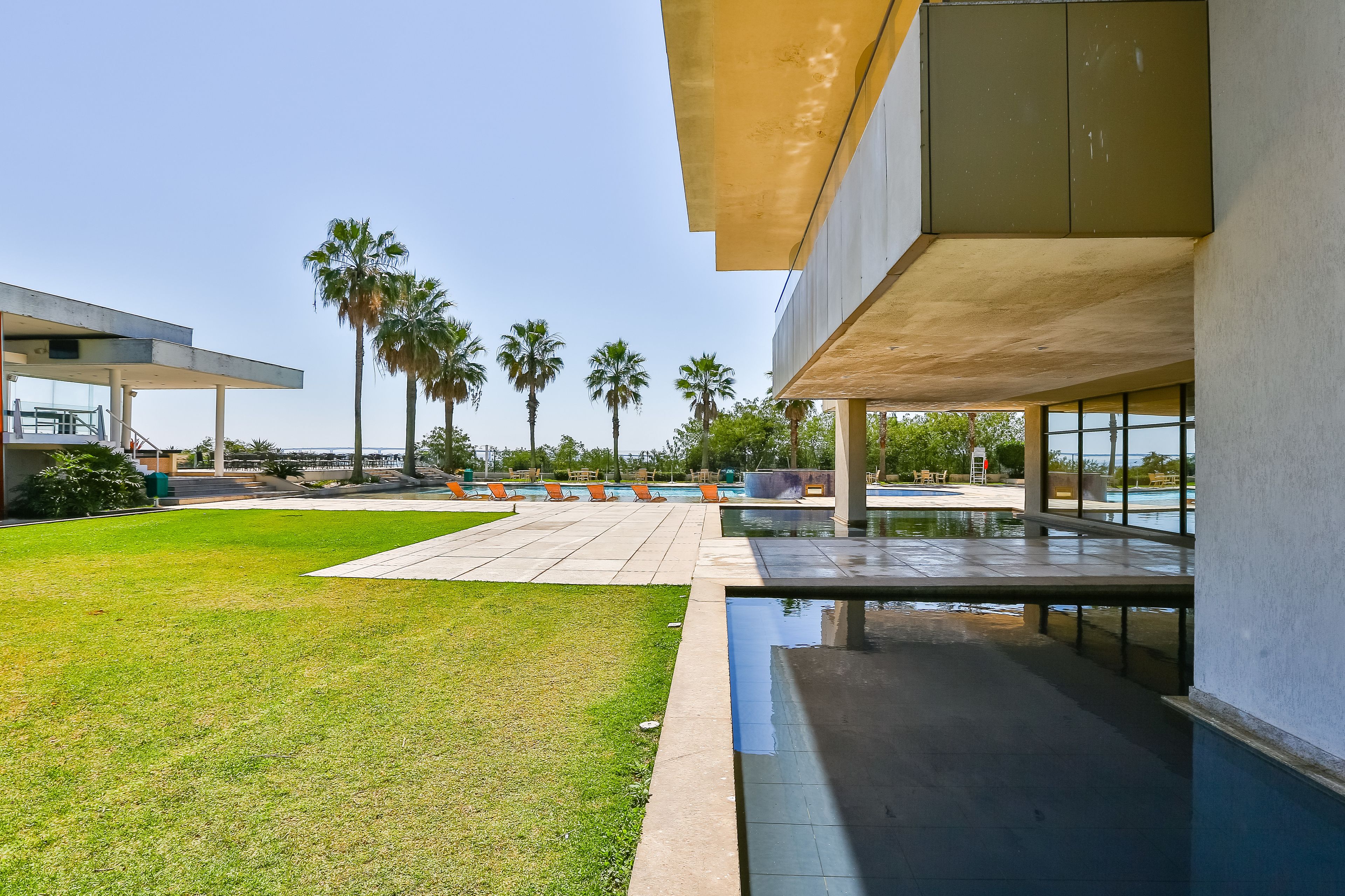 A modern outdoor pool area with a clear sky, palm trees, and a well-maintained lawn.