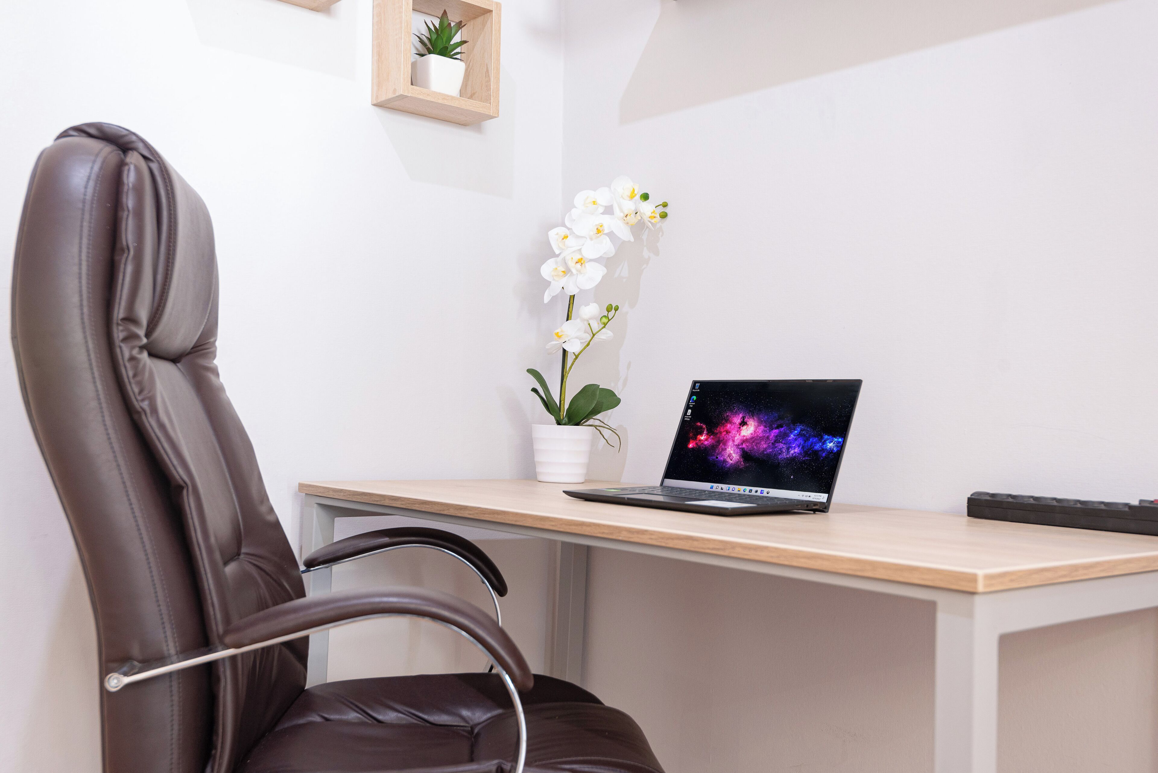 A brown leather chair, a wooden desk, a laptop, a potted orchid, and a small plant on the wall.