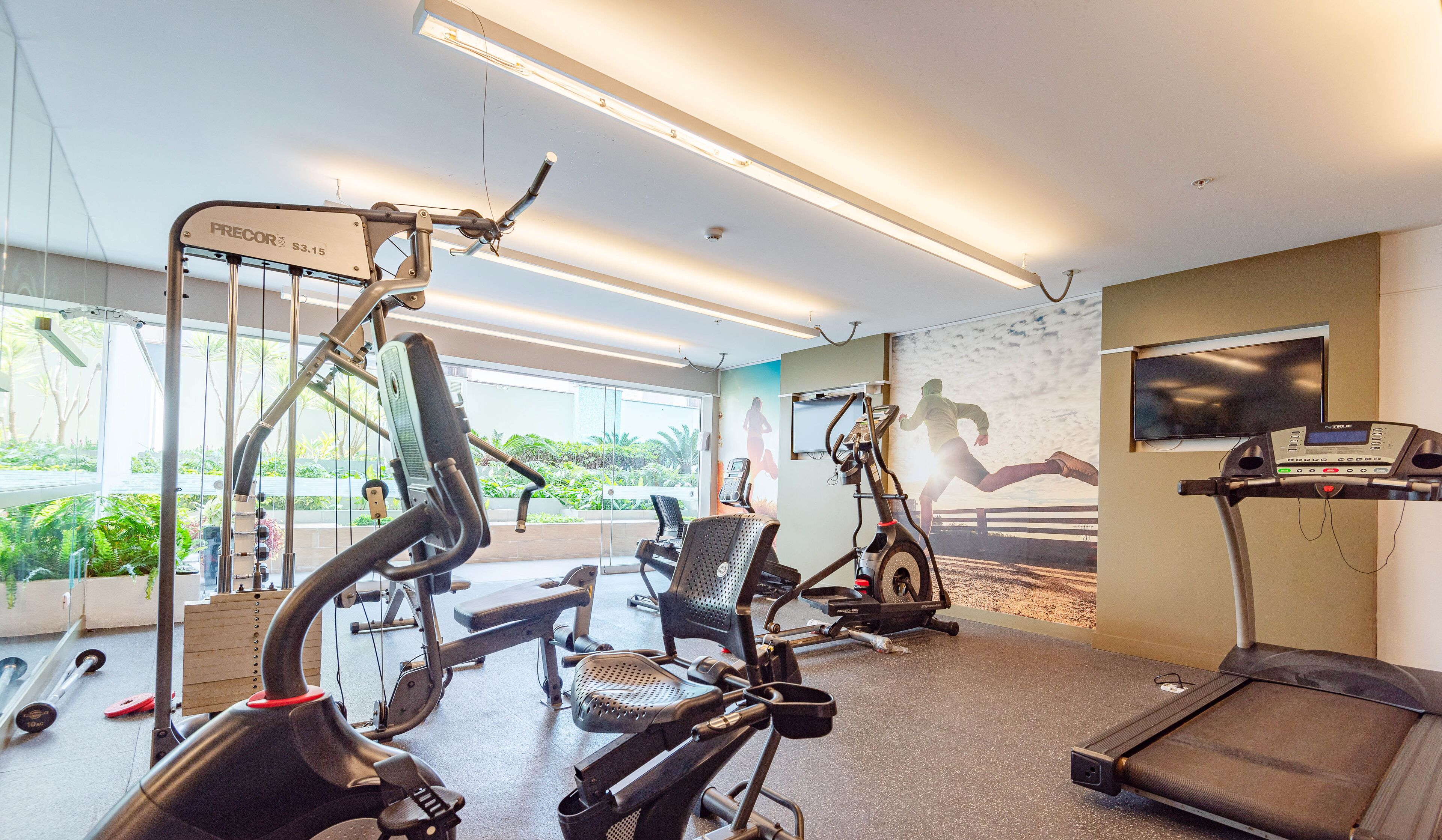 Gimnasio