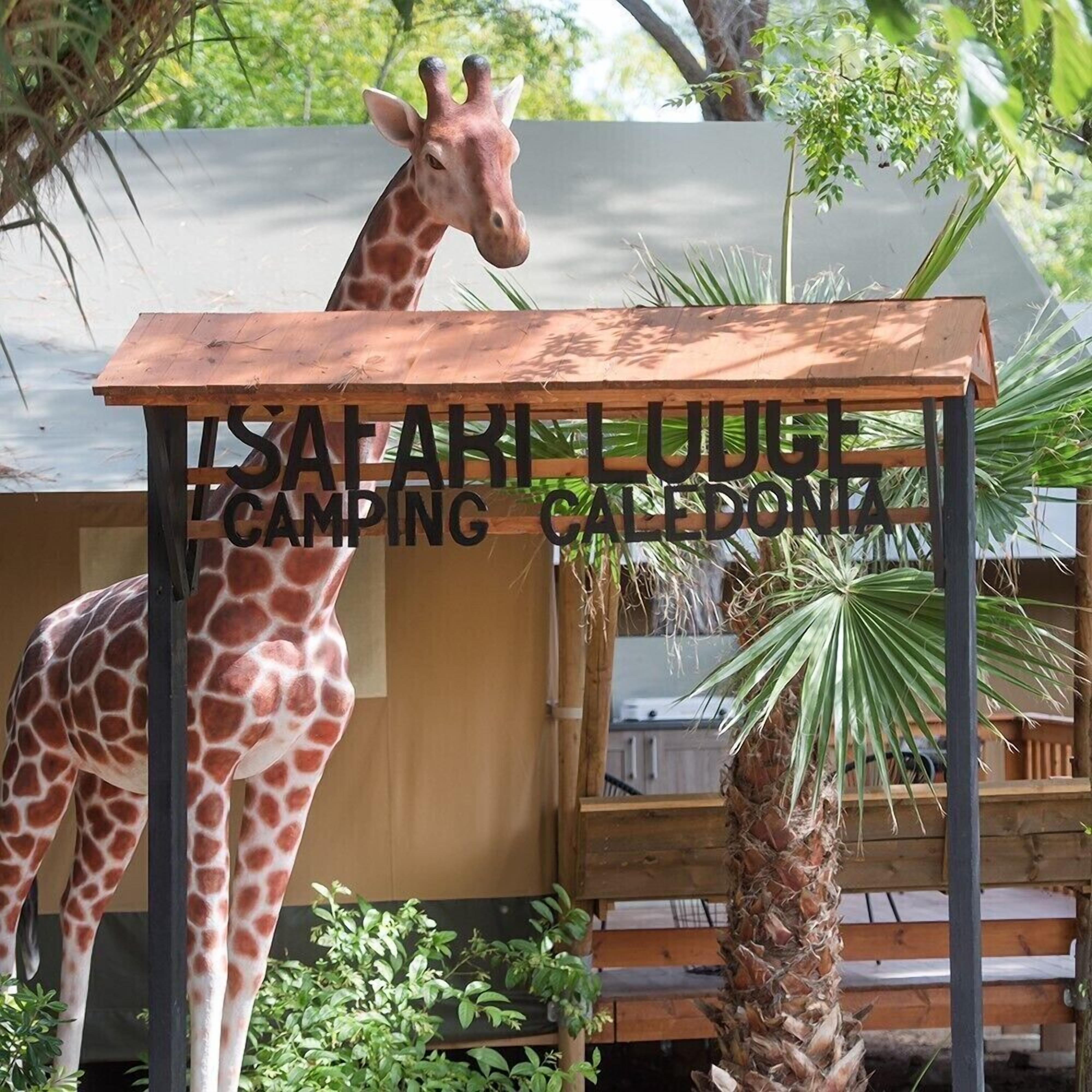 Photo - Camping Caledonia