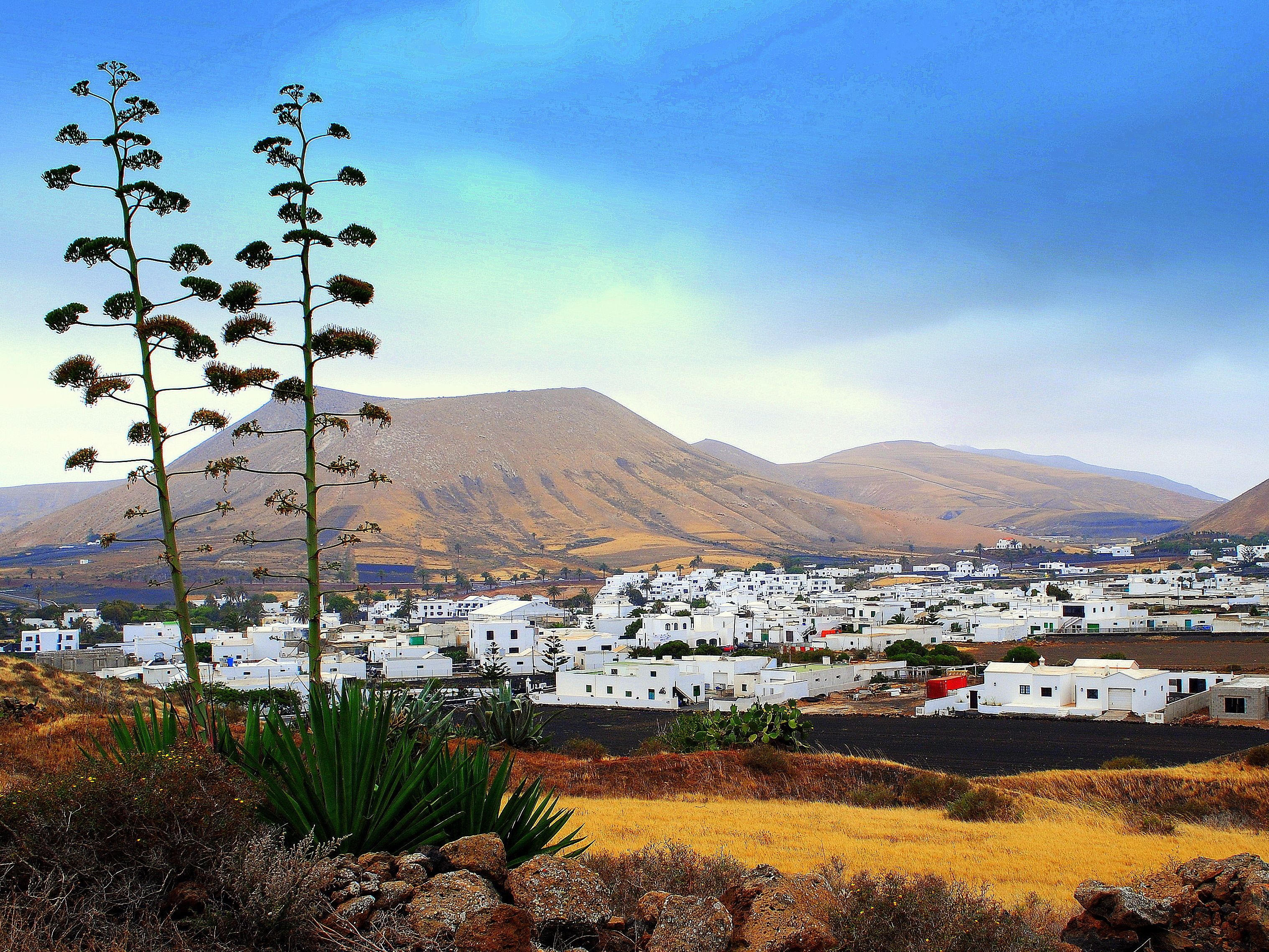 Foto - B&B Hotelito el Campo