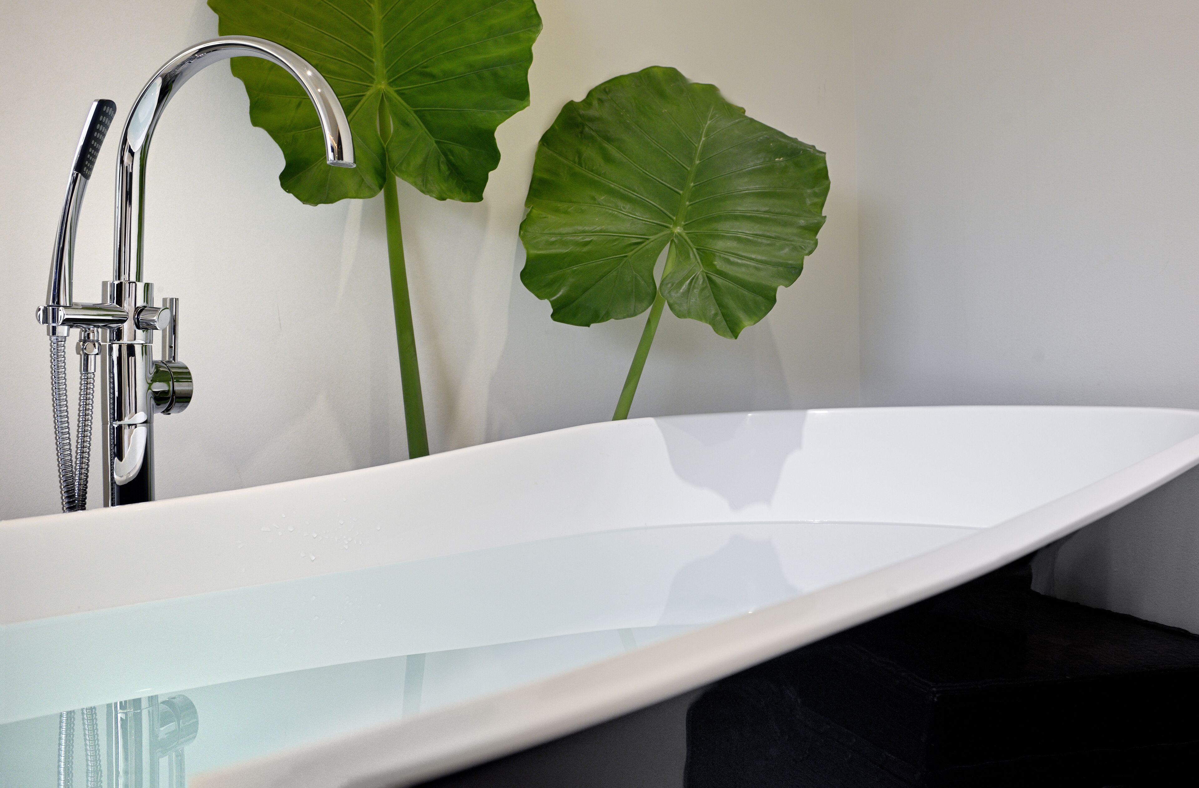 A modern bathroom with a white bathtub, chrome fixtures, and a large green plant.